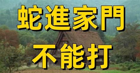 蛇進家門|金派！孽子討唔生活費「開車撞家門」 還拿「1物」放火燒厝 